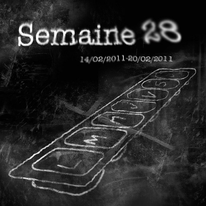 Semaine 28